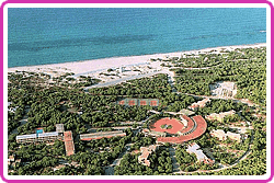 Vista aerea della pineta, del Centro commerciale e del litorale - Clicca per ingrandire l'immagine